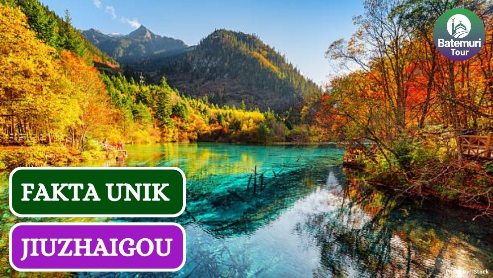 5 Fakta Unik Jiuzhaigou, Taman Nasional Suaka Alam di China